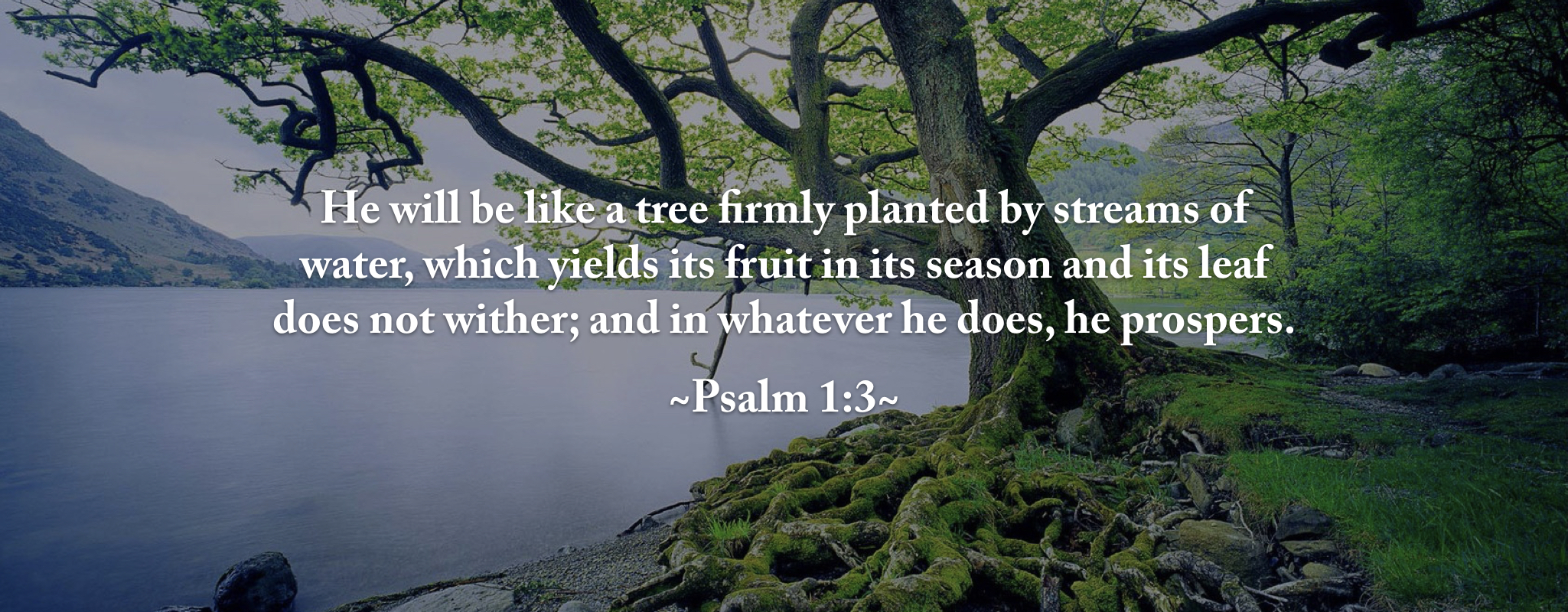 Web Banner Oct 17.001.jpeg